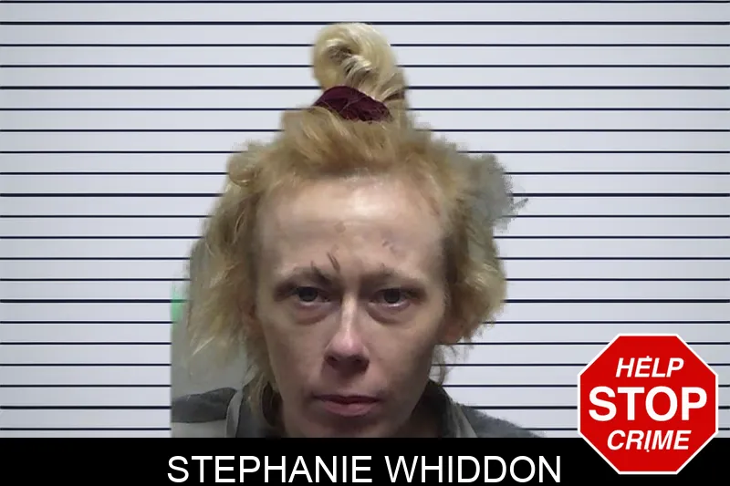 Stephanie Whiddon mugshot – Tift County , Georgia Stephanie Whiddon mugshot