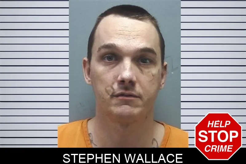 Stephen Wallace Mugshots