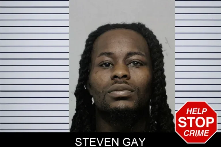 Steven Gay