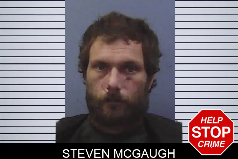 Steven McGaugh