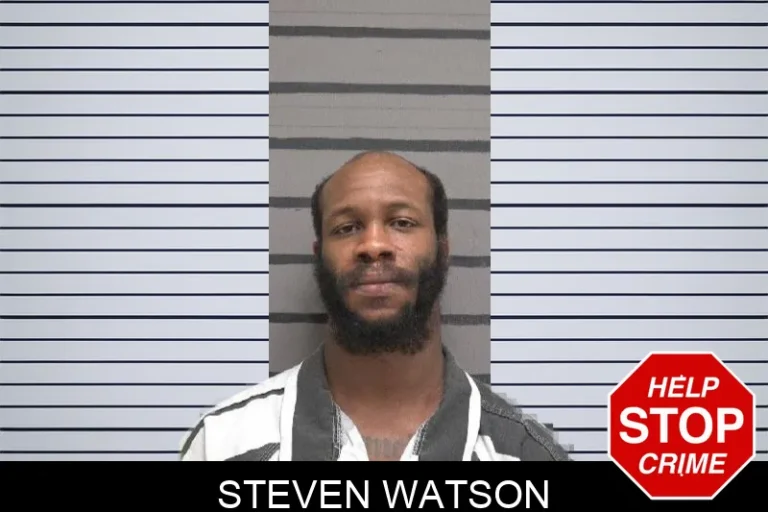 Steven Watson