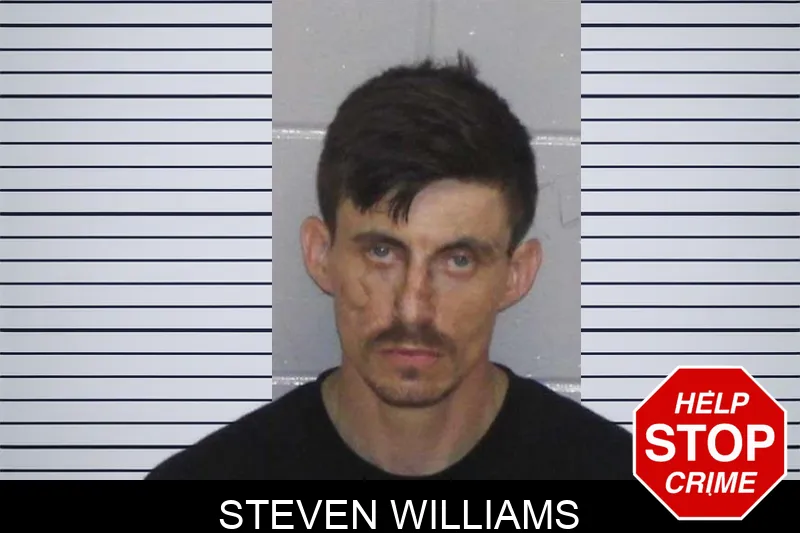 Steven Williams Mugshots