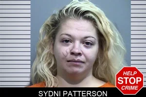 Sydni Patterson mugshot