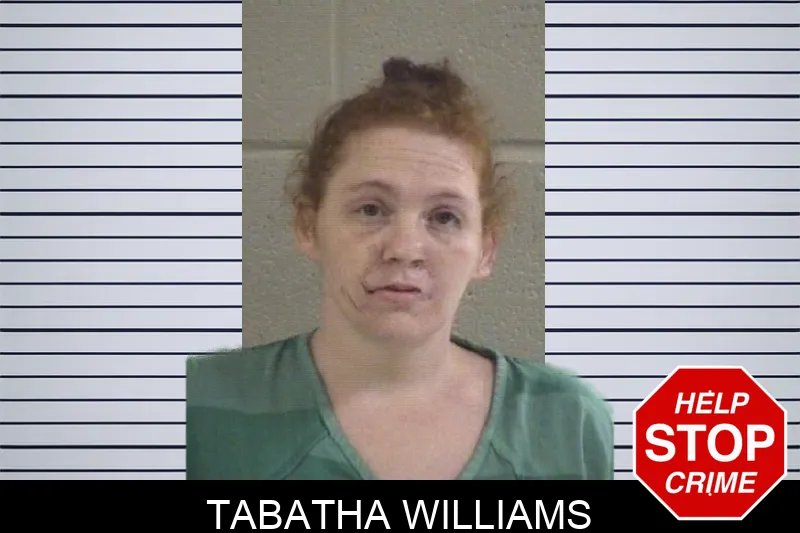 Tabatha Williams Mugshots