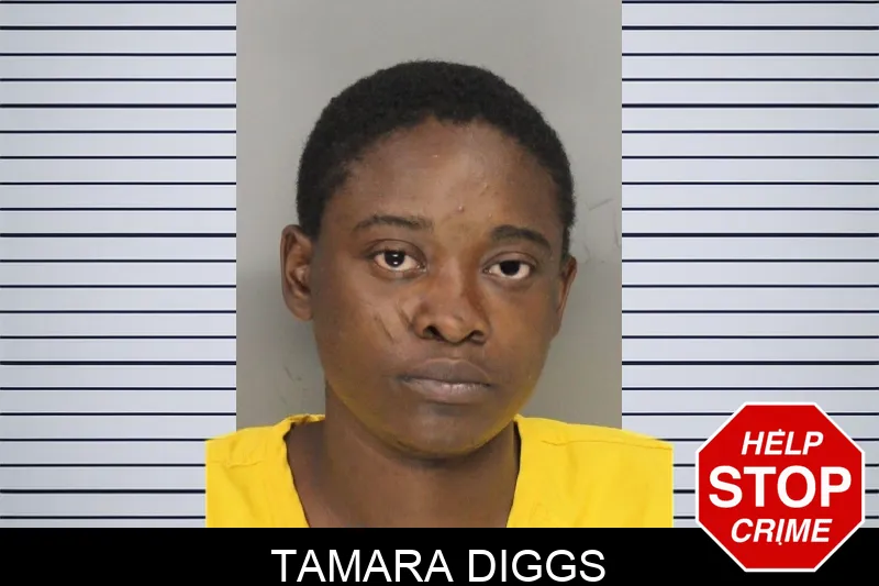 Tamara Diggs mugshot
