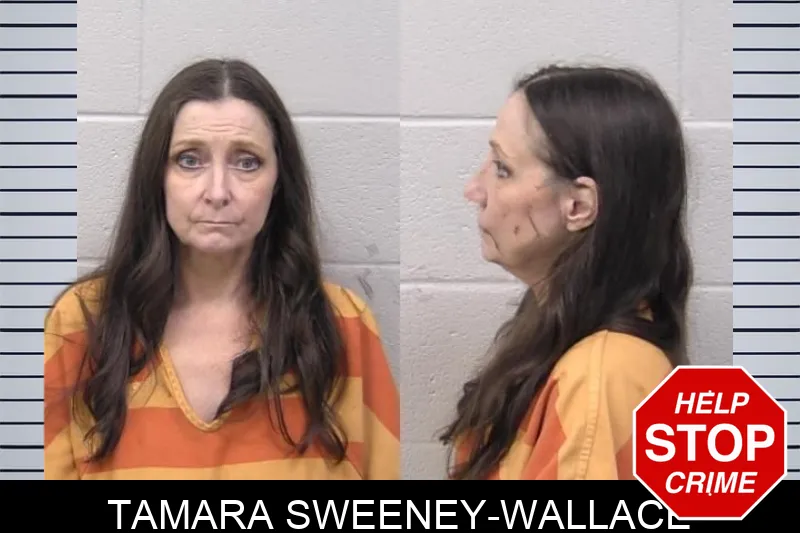 Tamara Sweeney-Wallace mugshot – Paulding County , Georgia Tamara Sweeney-Wallace mugshot