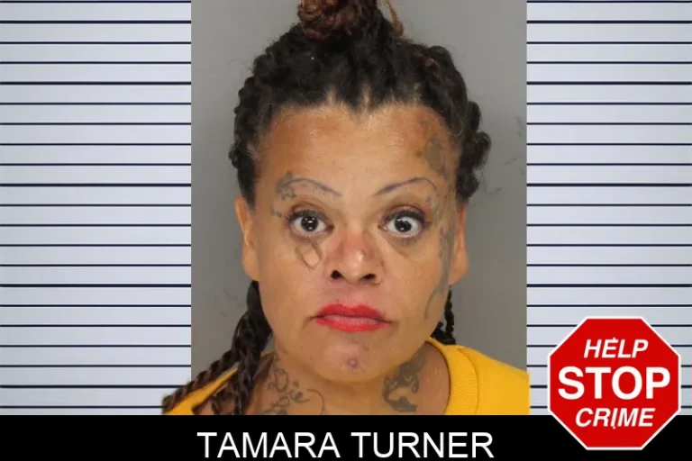 Tamara Turner