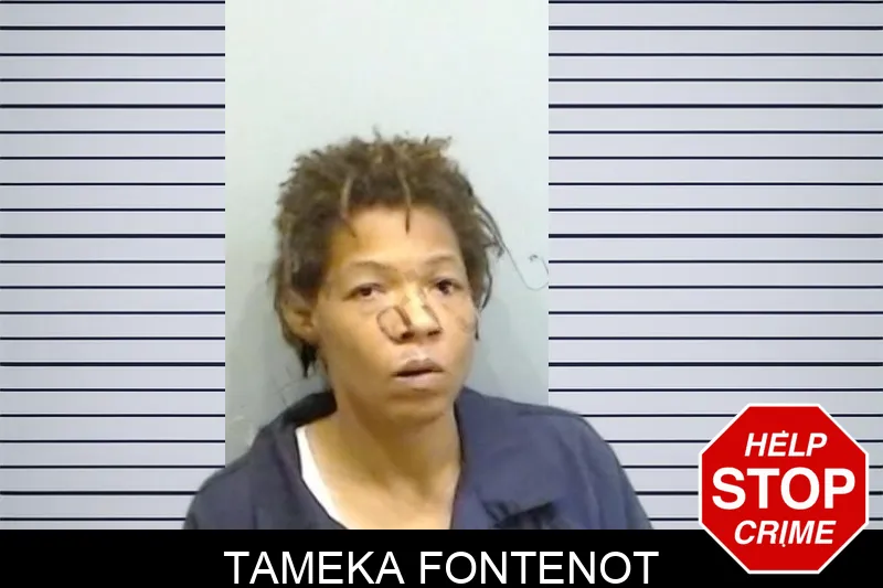 Tameka Fontenot mugshot – Fulton County , Georgia Tameka Fontenot mugshot
