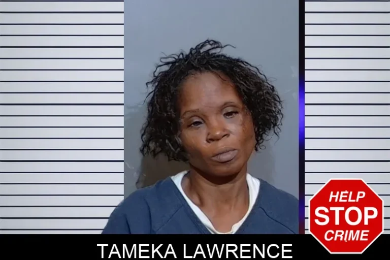 Tameka Lawrence mugshot – Glynn County , Georgia Tameka Lawrence