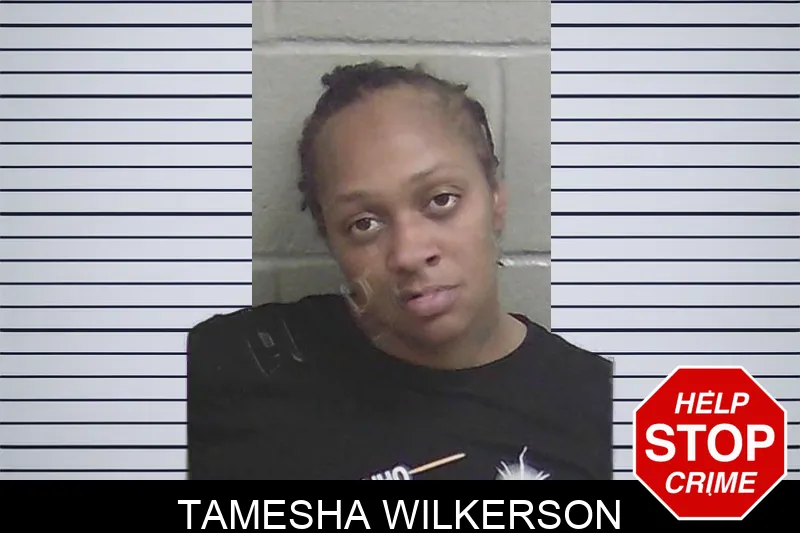 Tamesha Wilkerson Mugshots