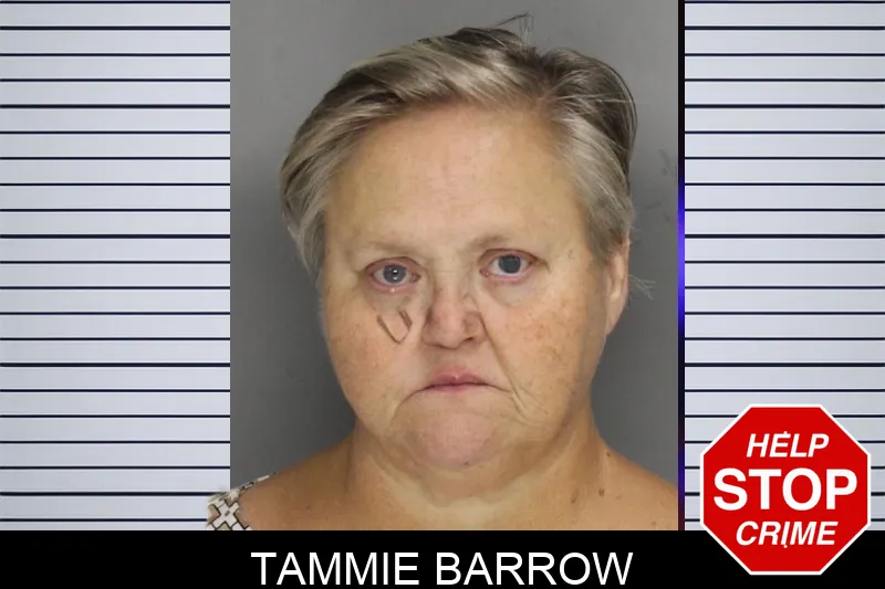 Tammie Barrow mugshot