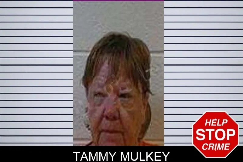Tammy Mulkey mugshot