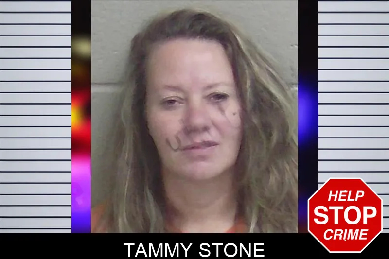 Tammy Stone Mugshots