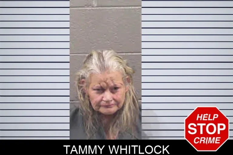 Tammy Whitlock mugshot – Banks County , Georgia Tammy Whitlock