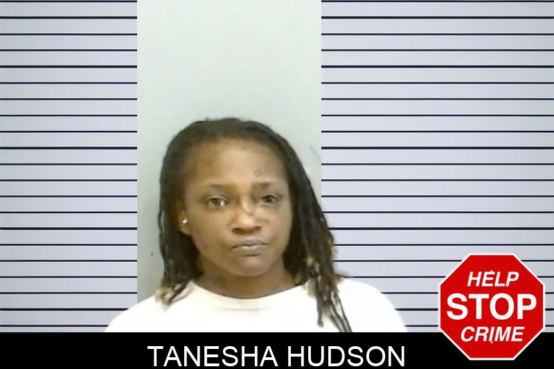 Tanesha Hudson Mugshots