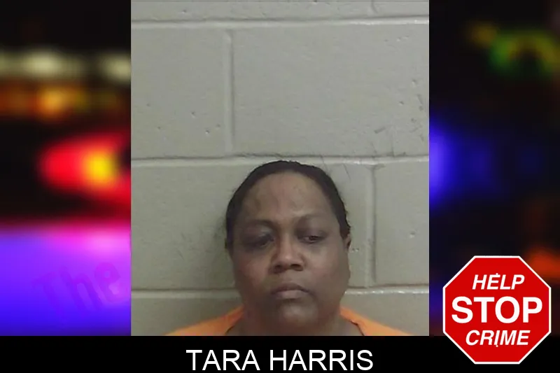 Tara Harris Mugshots