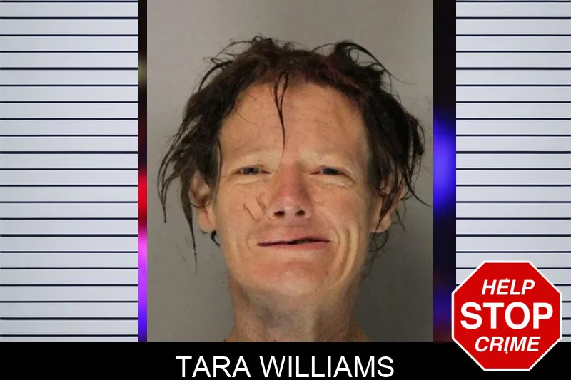 Tara Williams mugshot