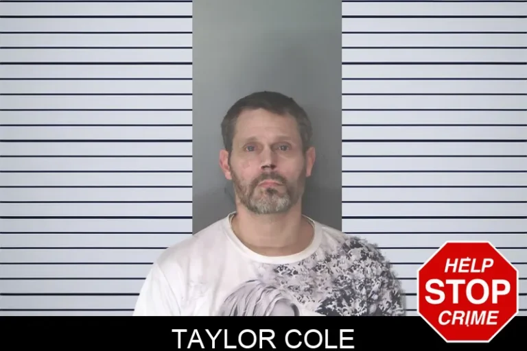 Taylor Cole