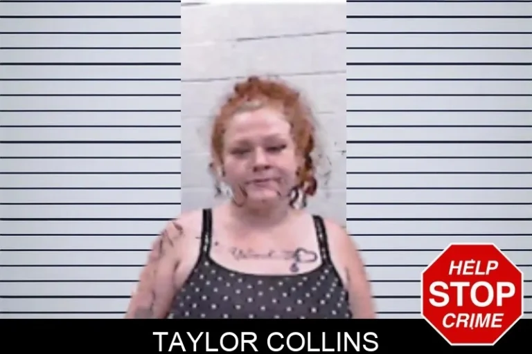 Taylor Collins