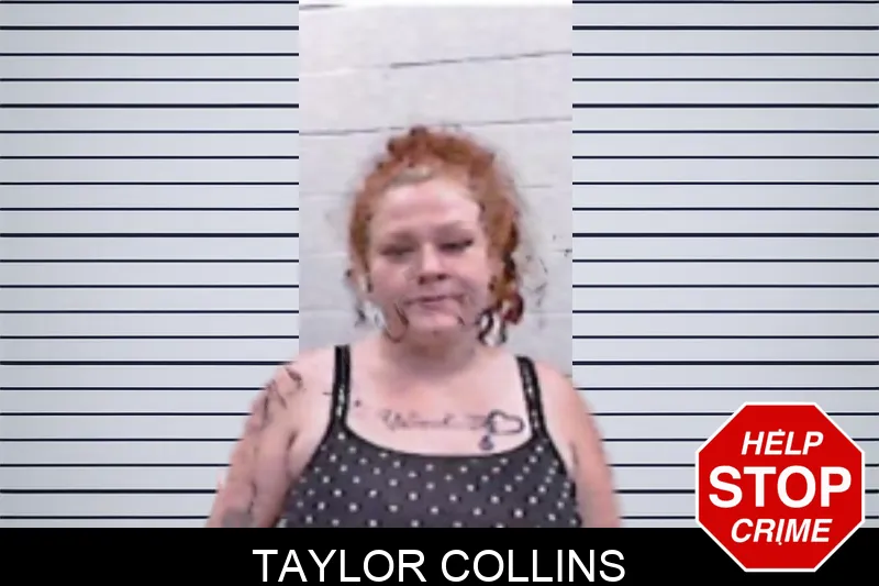Taylor Collins