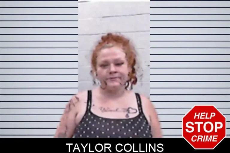 Taylor Collins