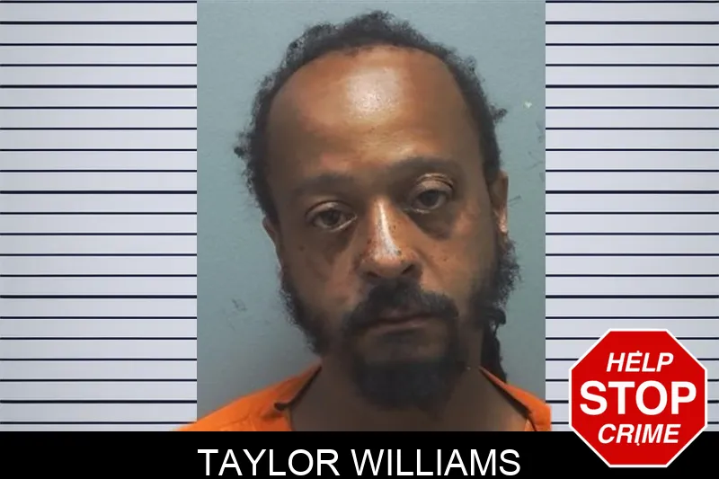 Taylor Williams Mugshots
