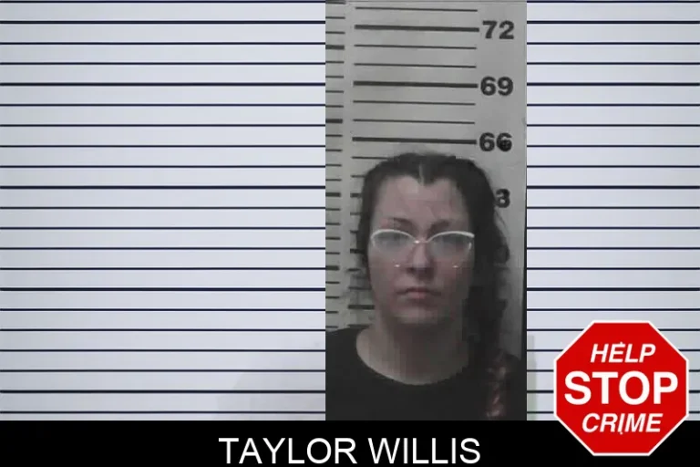 Taylor Willis