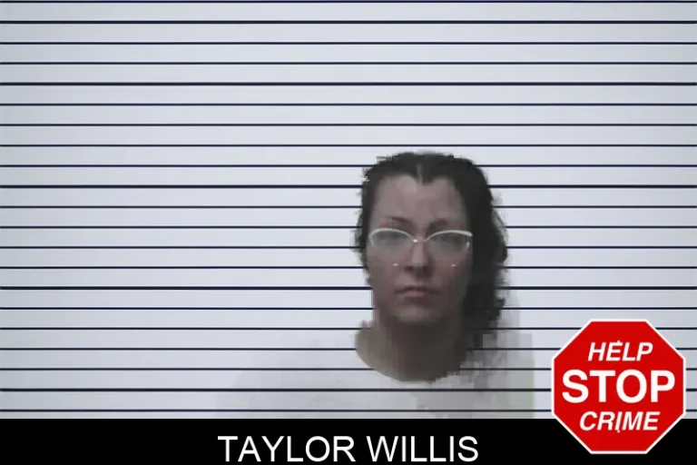 Taylor Willis
