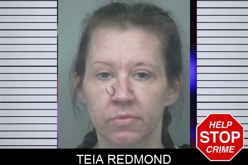 Teia Redmond mugshot