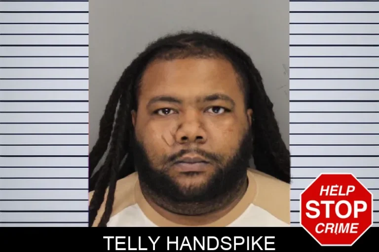 Telly Handspike