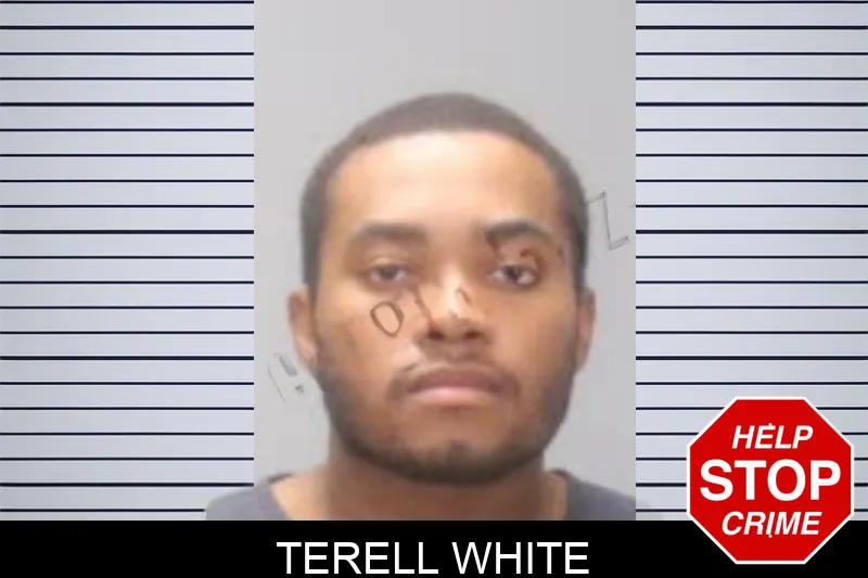 Terell White mugshot