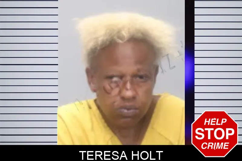 Teresa Holt mugshot