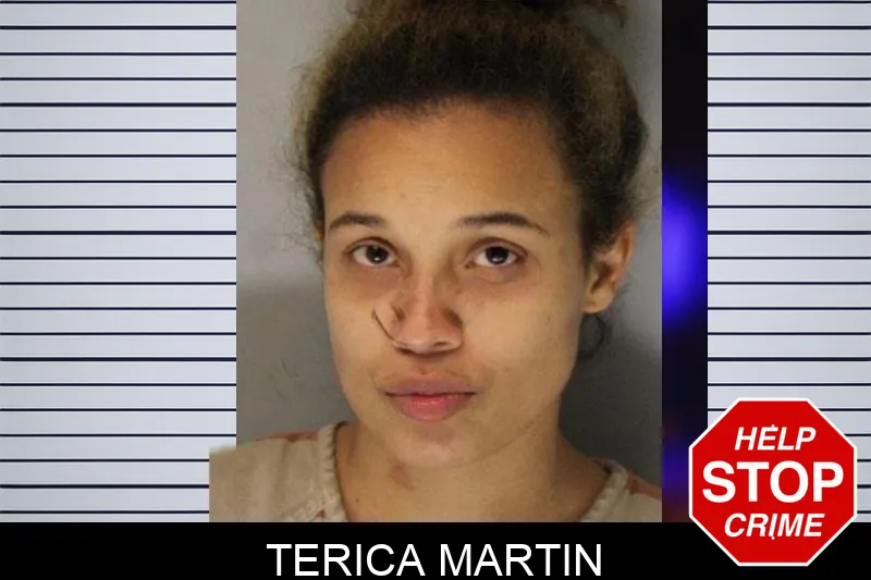 Terica Martin mugshot
