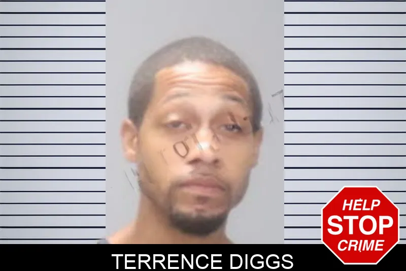 Terrence Diggs mugshot