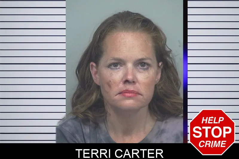 Terri Carter Mugshots