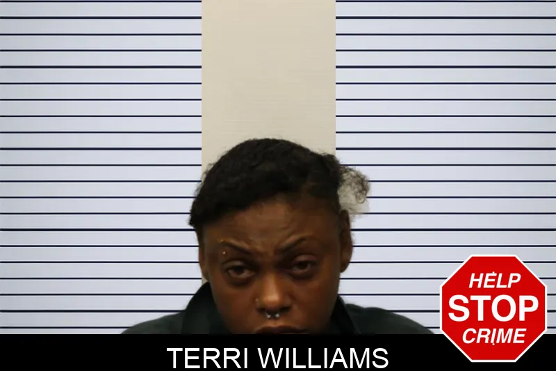 Terri Williams mugshot