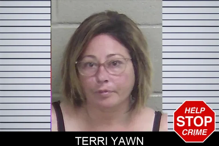 Terri Yawn mugshot – Wayne County , Georgia Terri Yawn