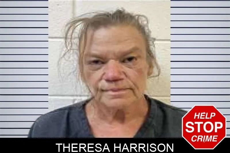 Theresa Harrison Mugshots