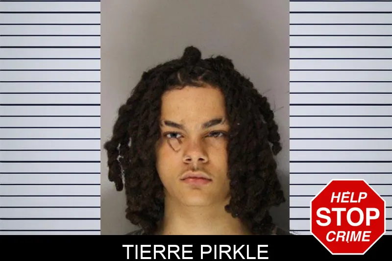 Tierre Pirkle mugshot – Hall County , Georgia Tierre Pirkle mugshot
