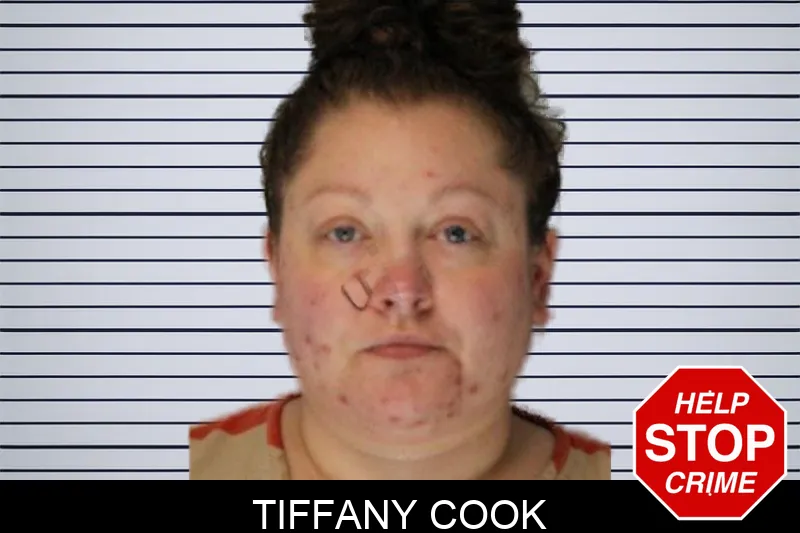 Tiffany Cook Mugshots