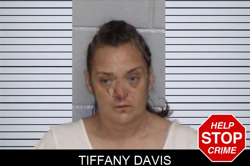 Tiffany Davis Mugshots