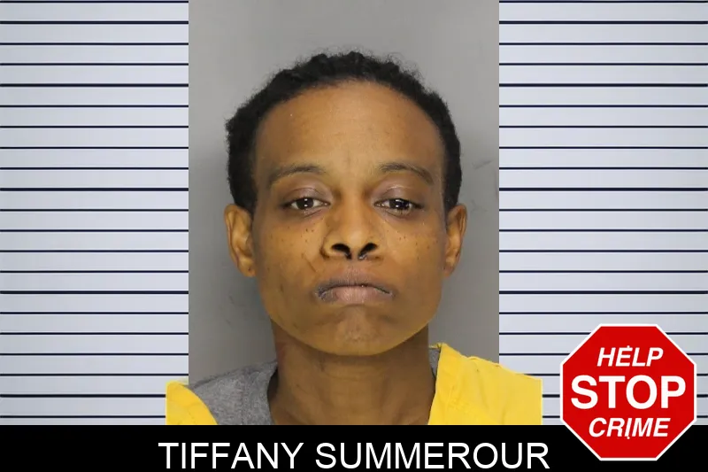 Tiffany Summerour mugshot