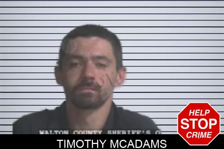 Timothy McAdams