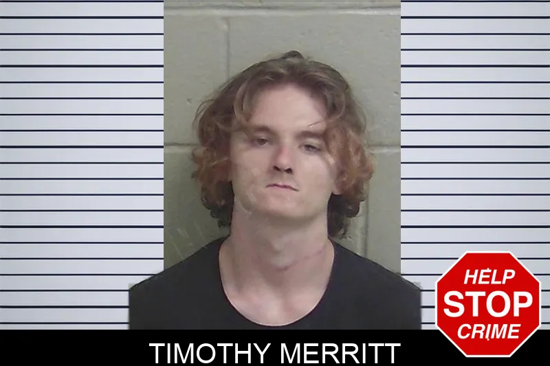 Timothy Merritt mugshot – Wayne County , Georgia Timothy Merritt mugshot