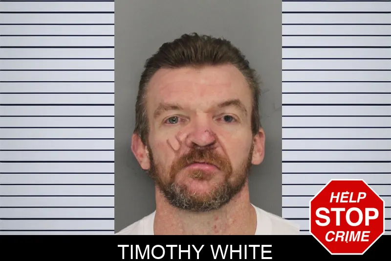 Timothy White Mugshots