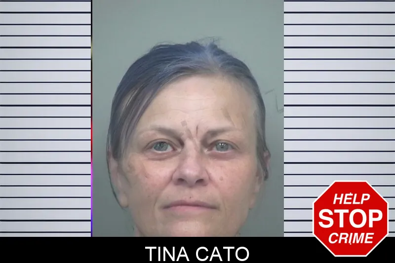 Tina Cato Mugshots