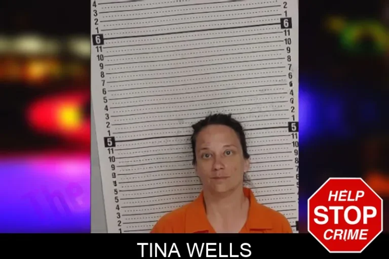 Tina Wells mugshot – Rockdale County , Georgia Tina Wells
