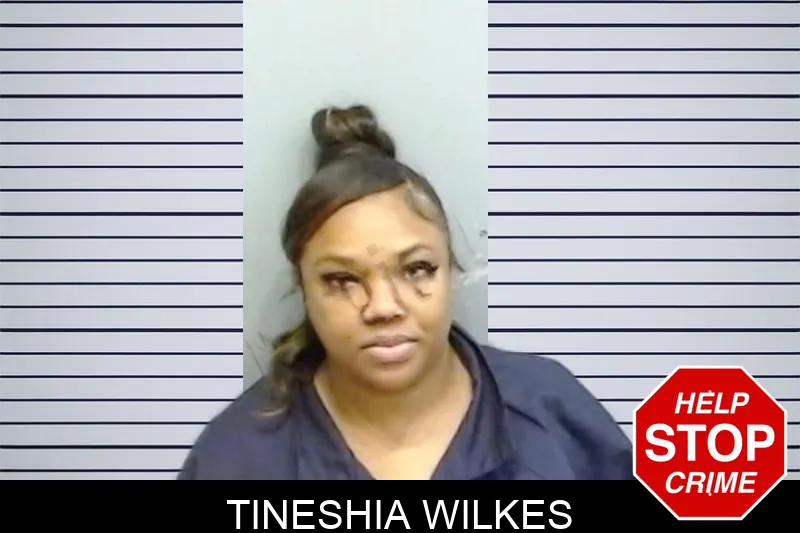 Tineshia Wilkes Mugshots