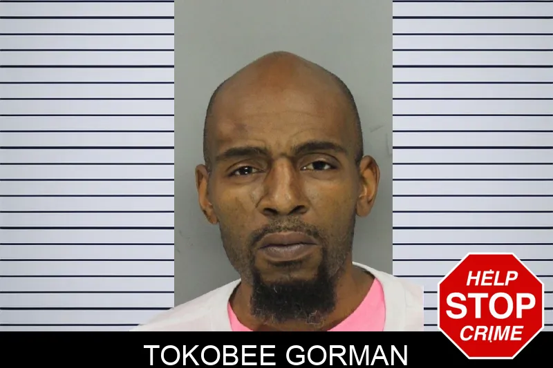 Tokobee Gorman mugshot