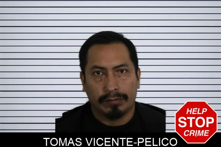 Tomas Vicente-Pelico